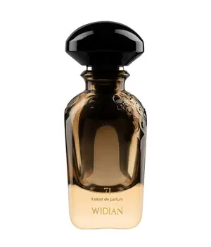 WIDIAN Limited 71