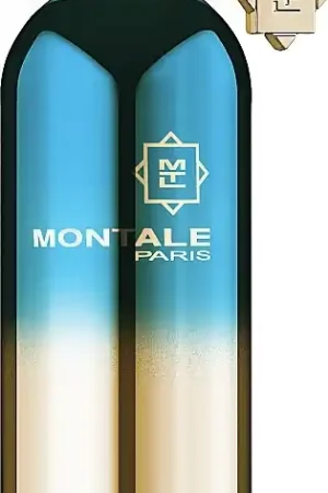 Montale Day Dreams